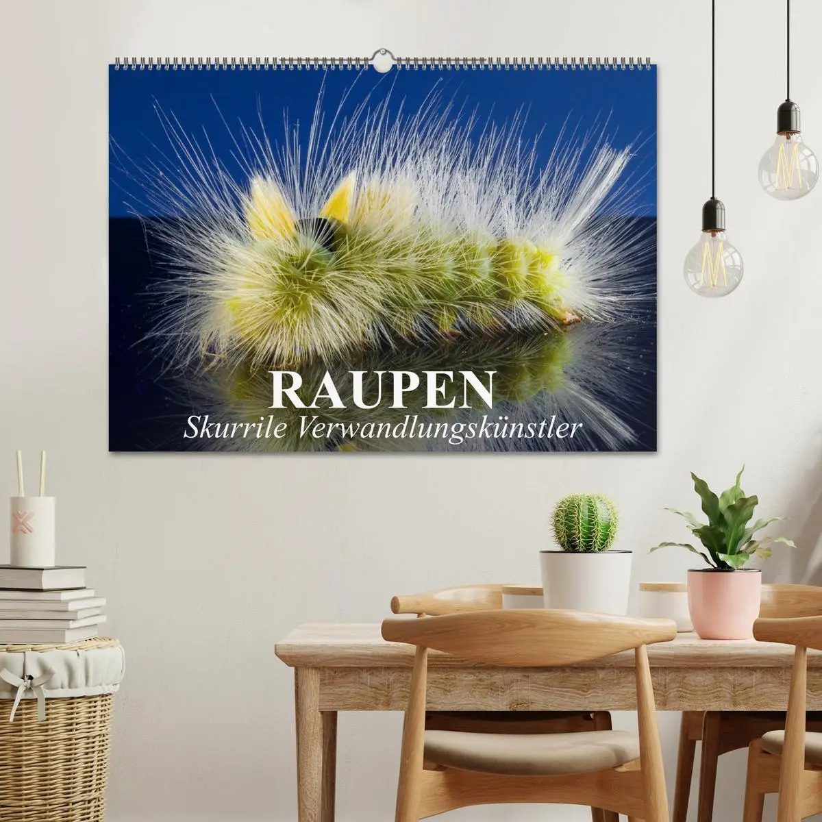 Bild: 9783516092479 | Raupen - Skurrile Verwandlungskünstler (Wandkalender 2026 DIN A2...