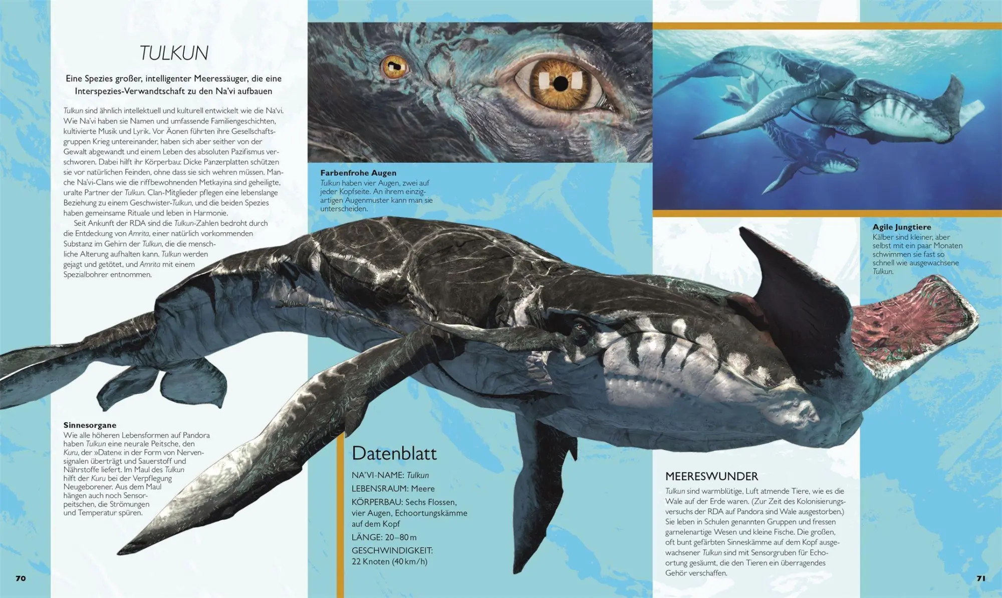 Bild: 9783831052479 | Die Welt von Avatar | DK Verlag | Buch | 200 S. | Deutsch | 2025