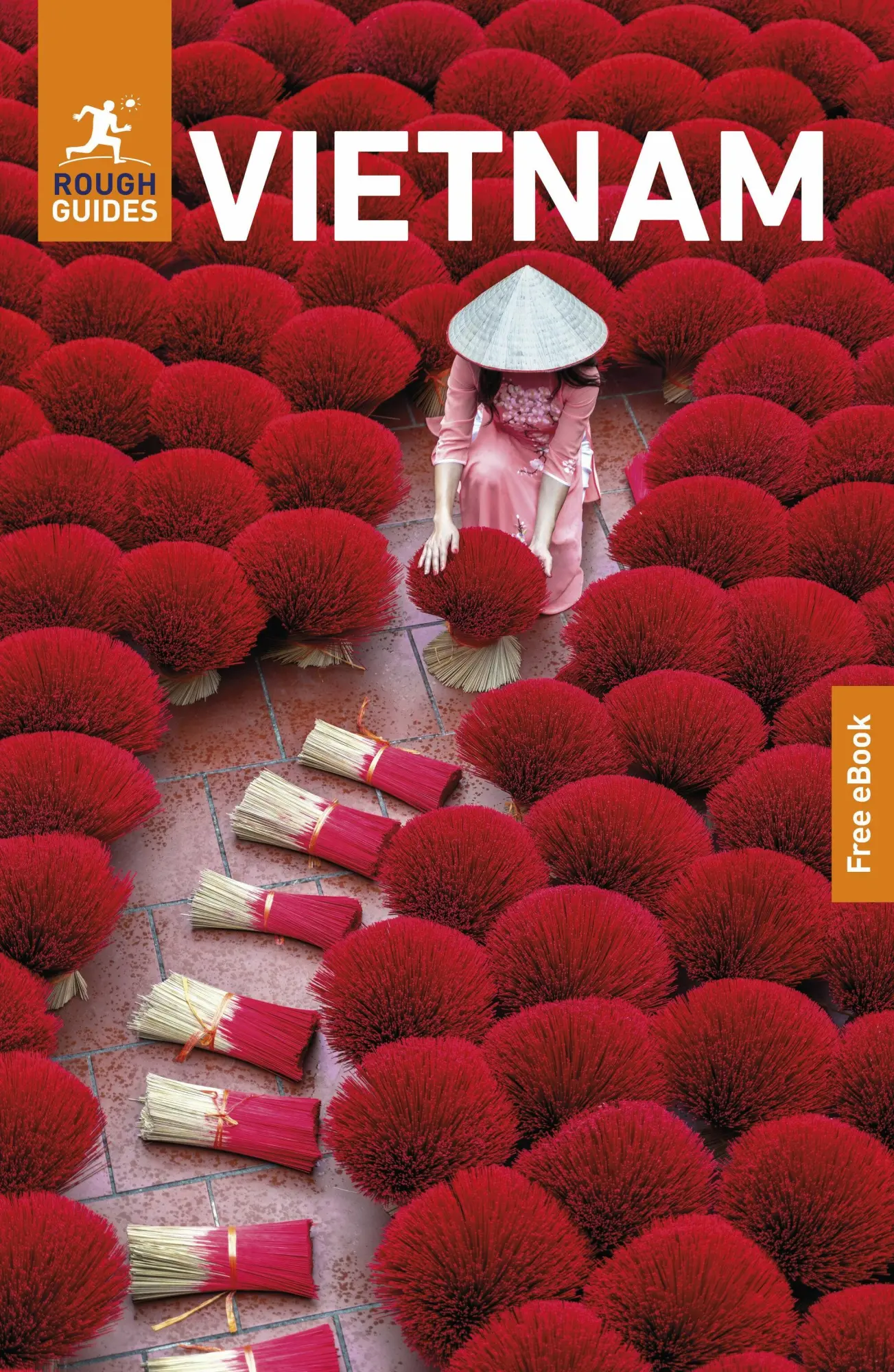 Cover: 9781835292679 | Rough Guides Vietnam: Travel Guide with eBook | Martin Zatko | Buch