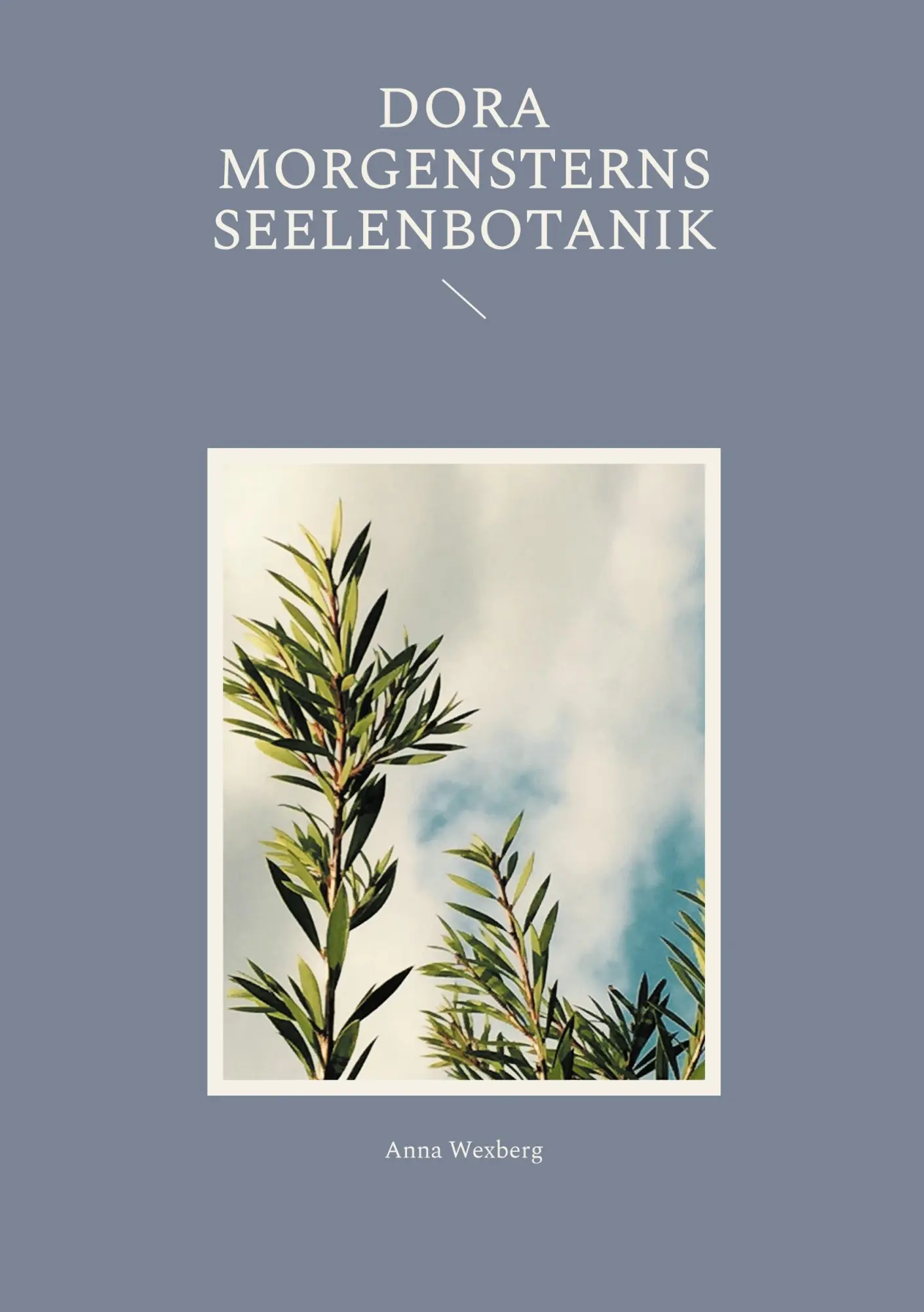Cover: 9783695102679 | Dora Morgensterns Seelenbotanik | Anna Wexberg | Taschenbuch | 122 S.