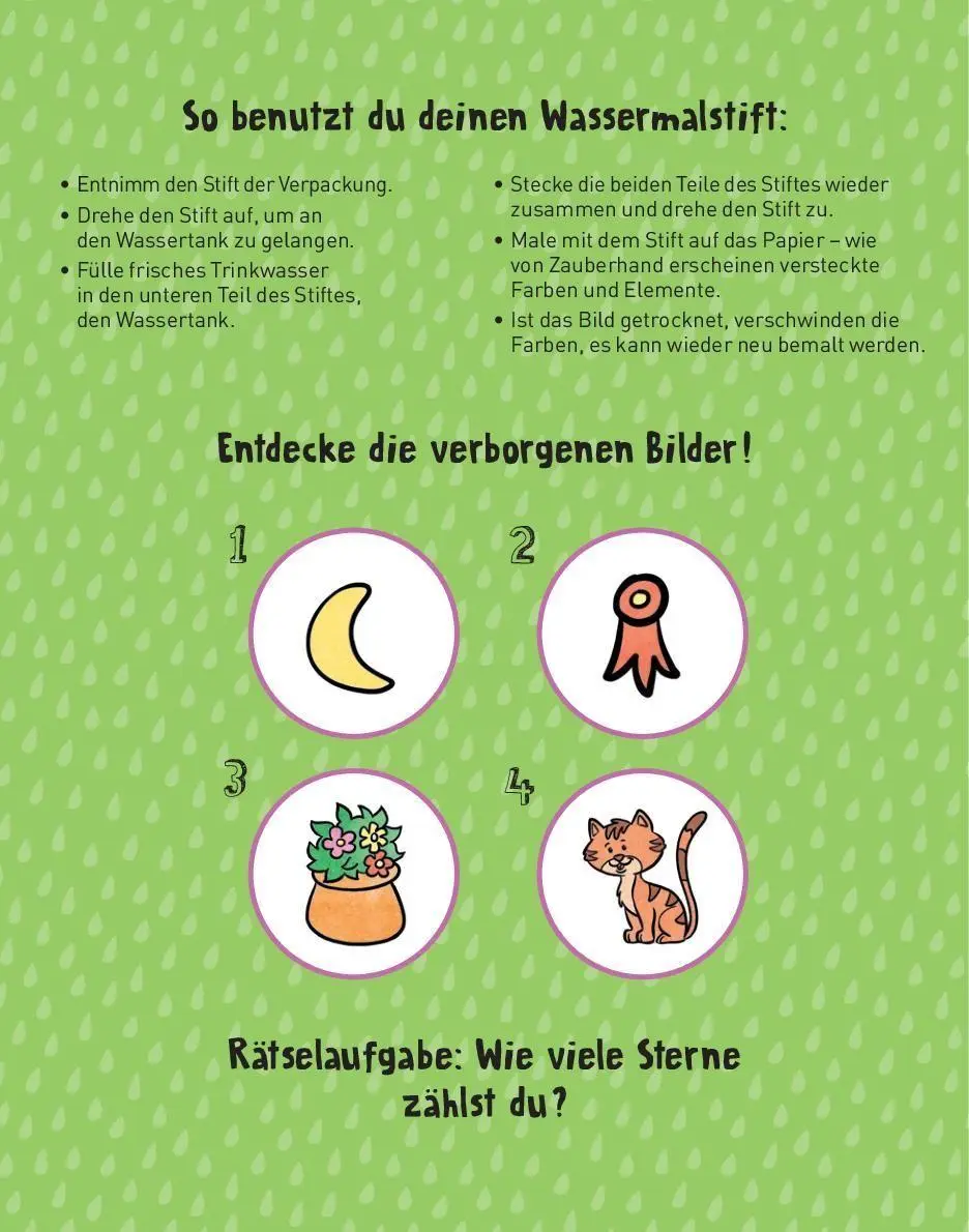 Bild: 9783849952679 | Malen mit Wasserzauber Prinzessin | Buch | 10 S. | Deutsch | 2026