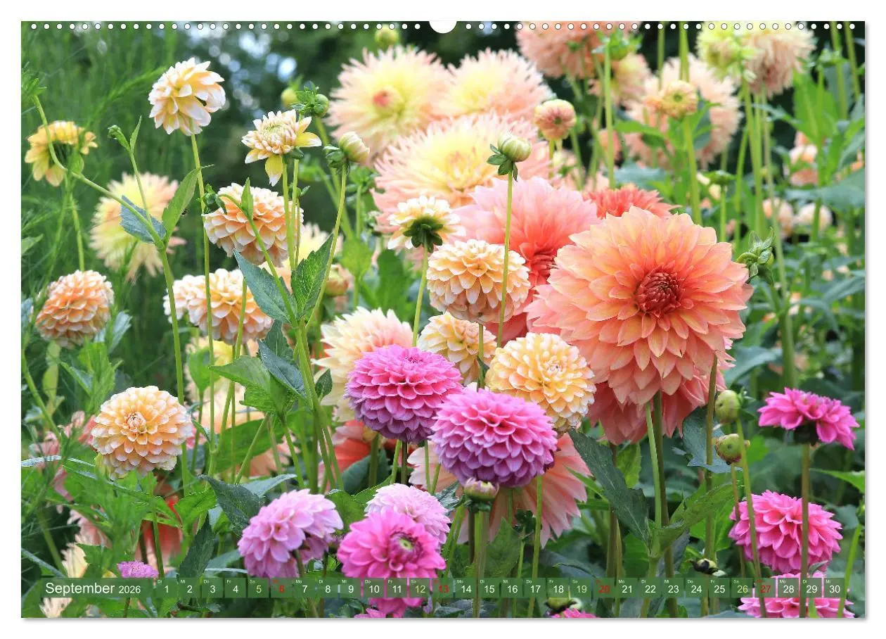 Bild: 9783457282779 | Im Reich der Blüten (hochwertiger Premium Wandkalender 2026 DIN A2...
