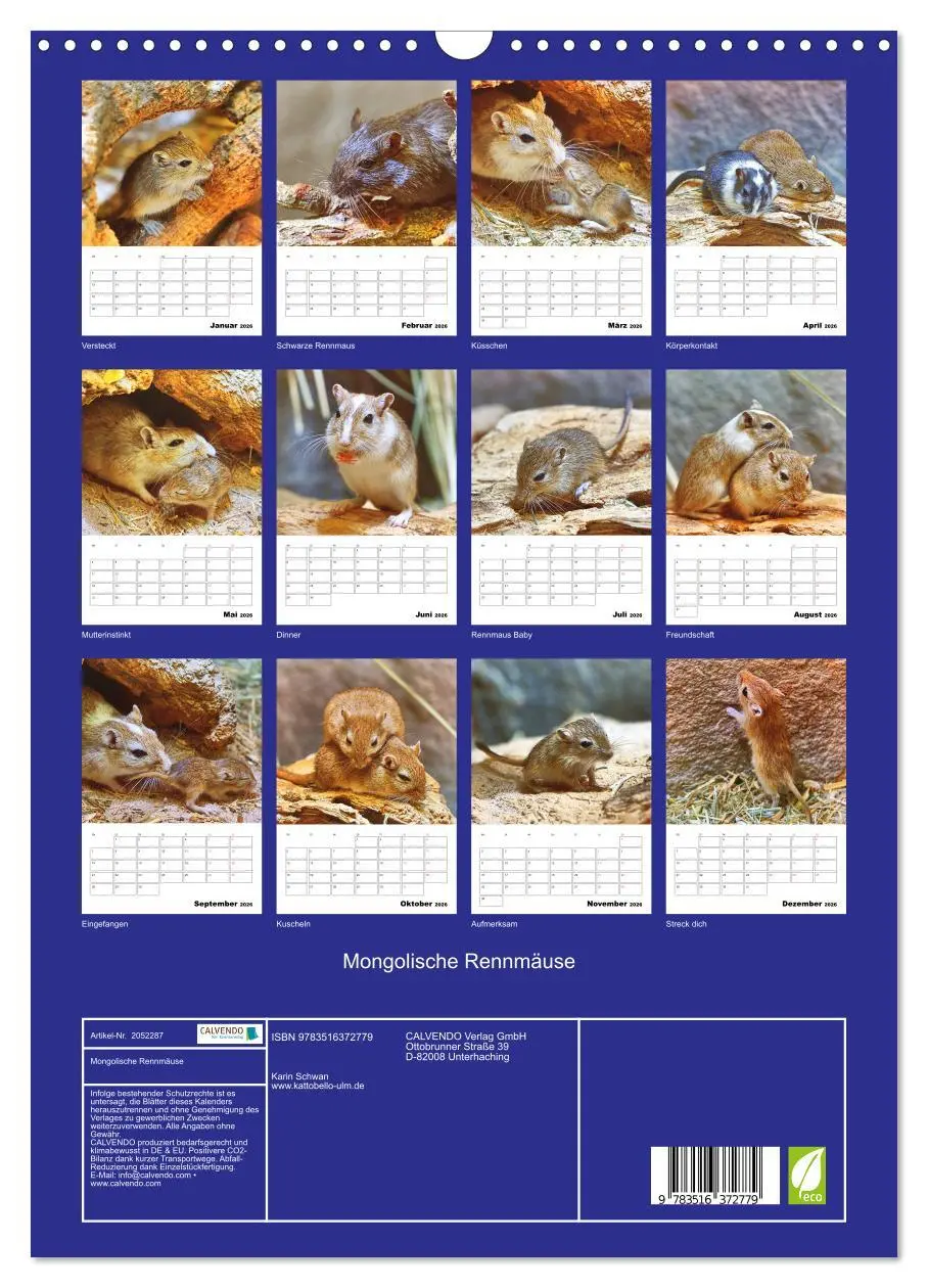 Bild: 9783516372779 | Mongolische Rennmäuse (Wandkalender 2026 DIN A3 hoch), CALVENDO...