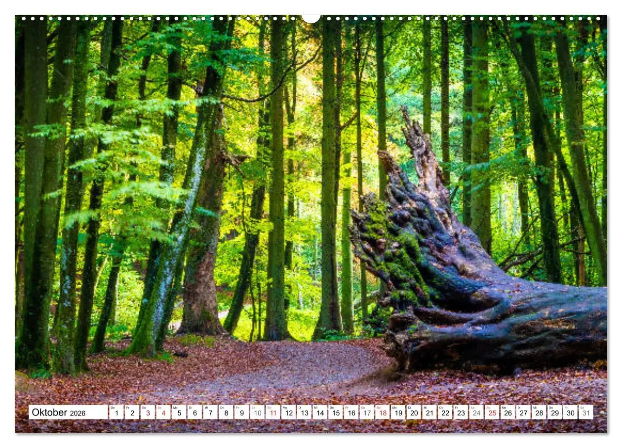 Bild: 9783457722879 | Insel Rügen - Meine wilde Ostsee-Romanze (Wandkalender 2026 DIN A2...