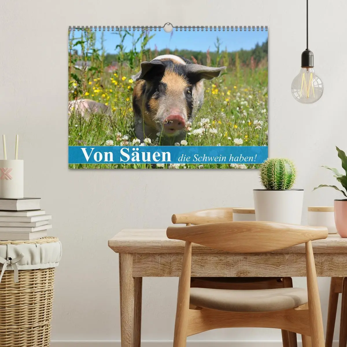 Bild: 9783516052879 | Von Säuen die Schwein haben! (Wandkalender 2026 DIN A3 quer),...