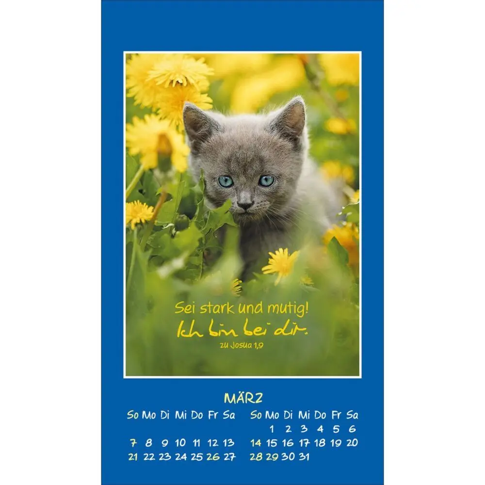 Bild: 9783754892879 | Mini Katzen-Tatzen 2027 | Aufkleber-Kalender | Kalender | 14 S. | 2027