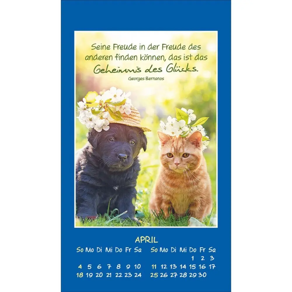 Bild: 9783754892879 | Mini Katzen-Tatzen 2027 | Aufkleber-Kalender | Kalender | 14 S. | 2027