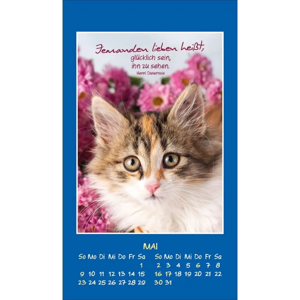 Bild: 9783754892879 | Mini Katzen-Tatzen 2027 | Aufkleber-Kalender | Kalender | 14 S. | 2027