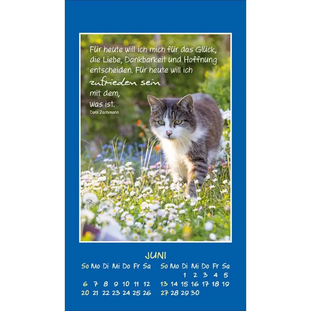 Bild: 9783754892879 | Mini Katzen-Tatzen 2027 | Aufkleber-Kalender | Kalender | 14 S. | 2027