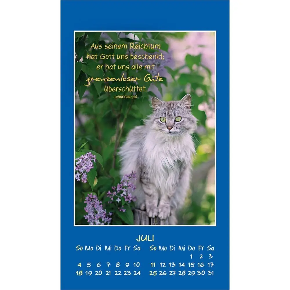 Bild: 9783754892879 | Mini Katzen-Tatzen 2027 | Aufkleber-Kalender | Kalender | 14 S. | 2027