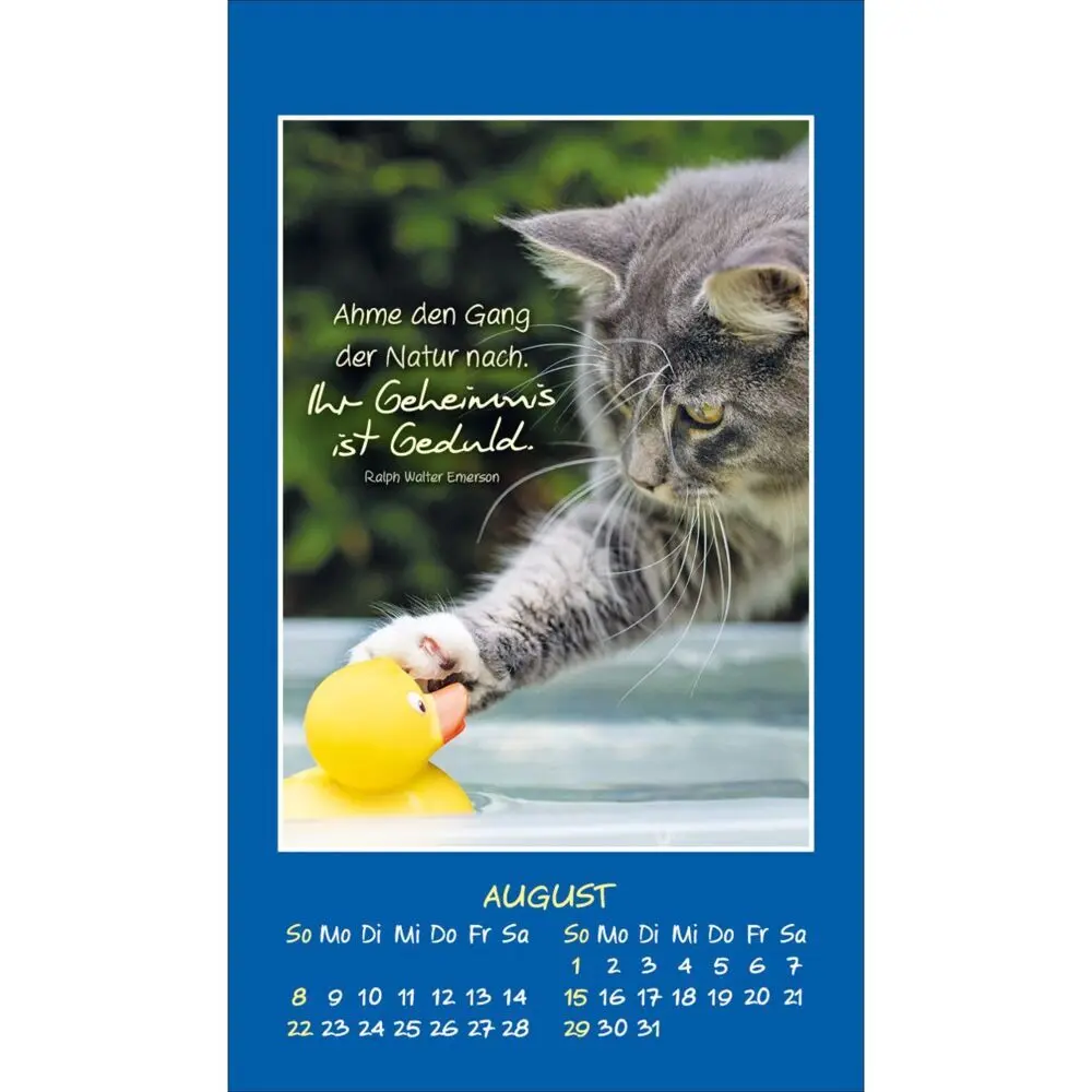 Bild: 9783754892879 | Mini Katzen-Tatzen 2027 | Aufkleber-Kalender | Kalender | 14 S. | 2027