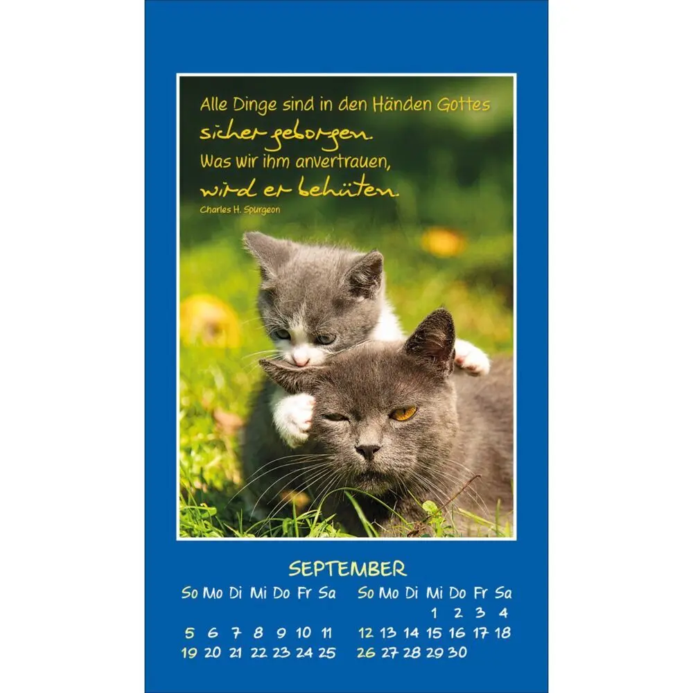 Bild: 9783754892879 | Mini Katzen-Tatzen 2027 | Aufkleber-Kalender | Kalender | 14 S. | 2027