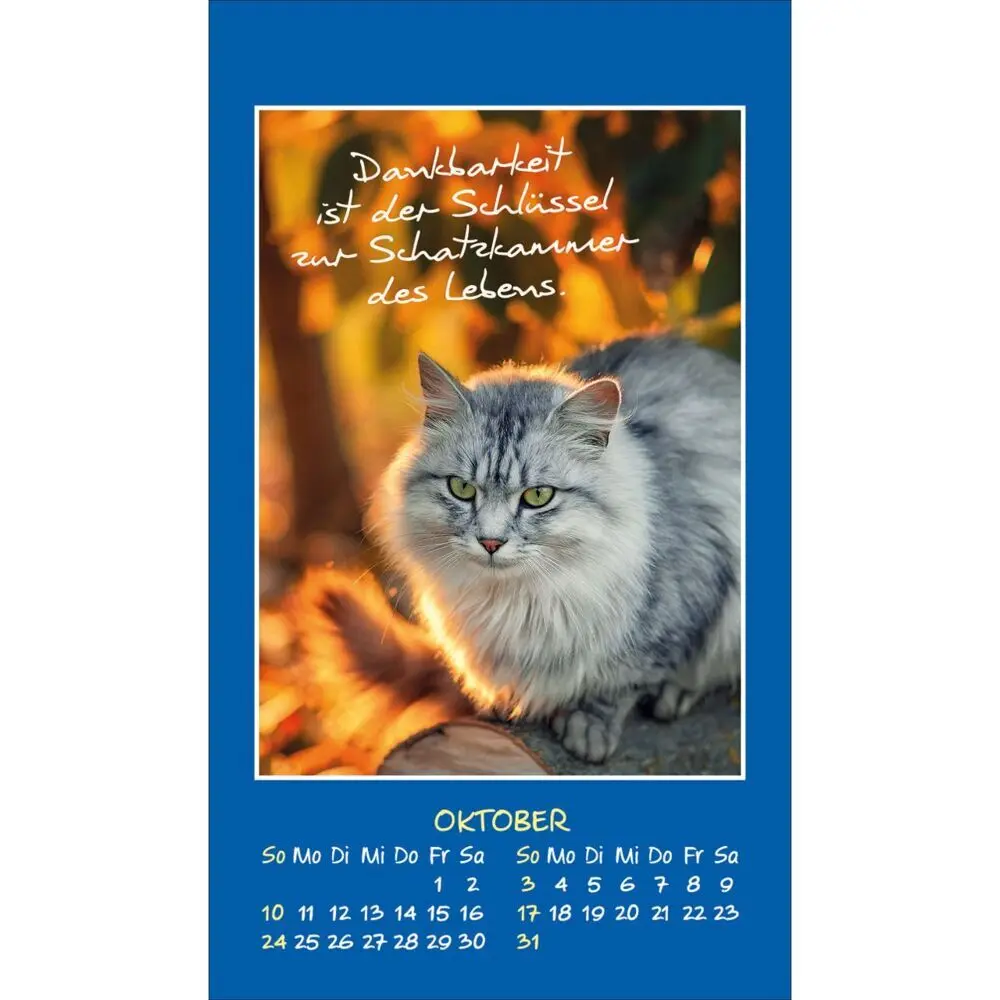 Bild: 9783754892879 | Mini Katzen-Tatzen 2027 | Aufkleber-Kalender | Kalender | 14 S. | 2027