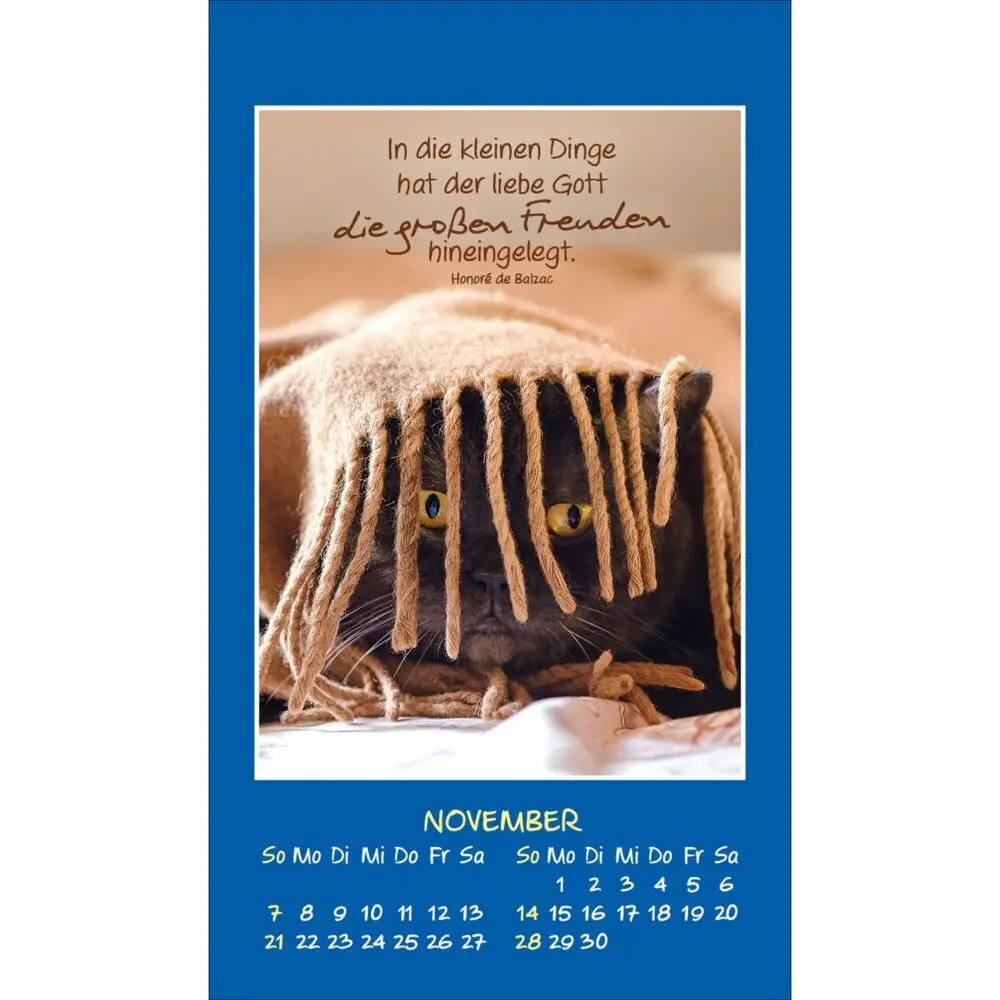 Bild: 9783754892879 | Mini Katzen-Tatzen 2027 | Aufkleber-Kalender | Kalender | 14 S. | 2027