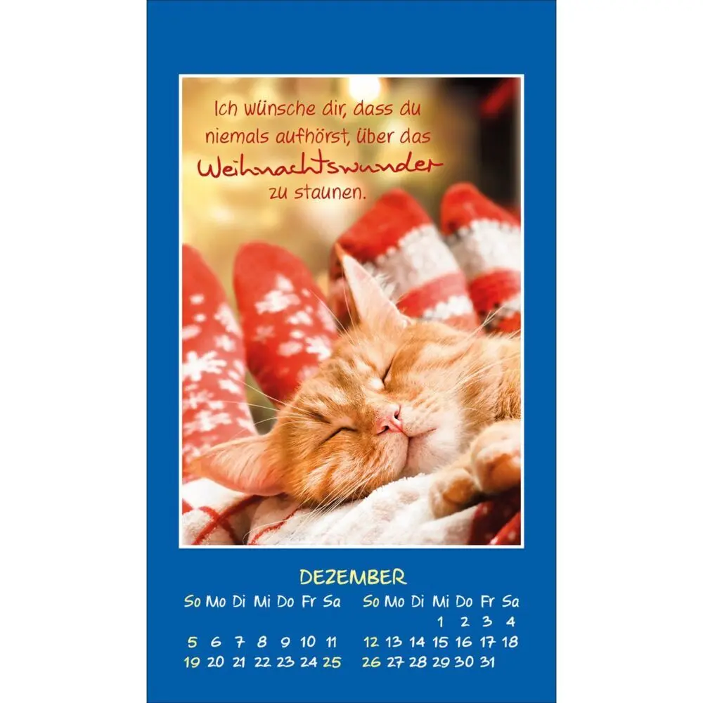 Bild: 9783754892879 | Mini Katzen-Tatzen 2027 | Aufkleber-Kalender | Kalender | 14 S. | 2027