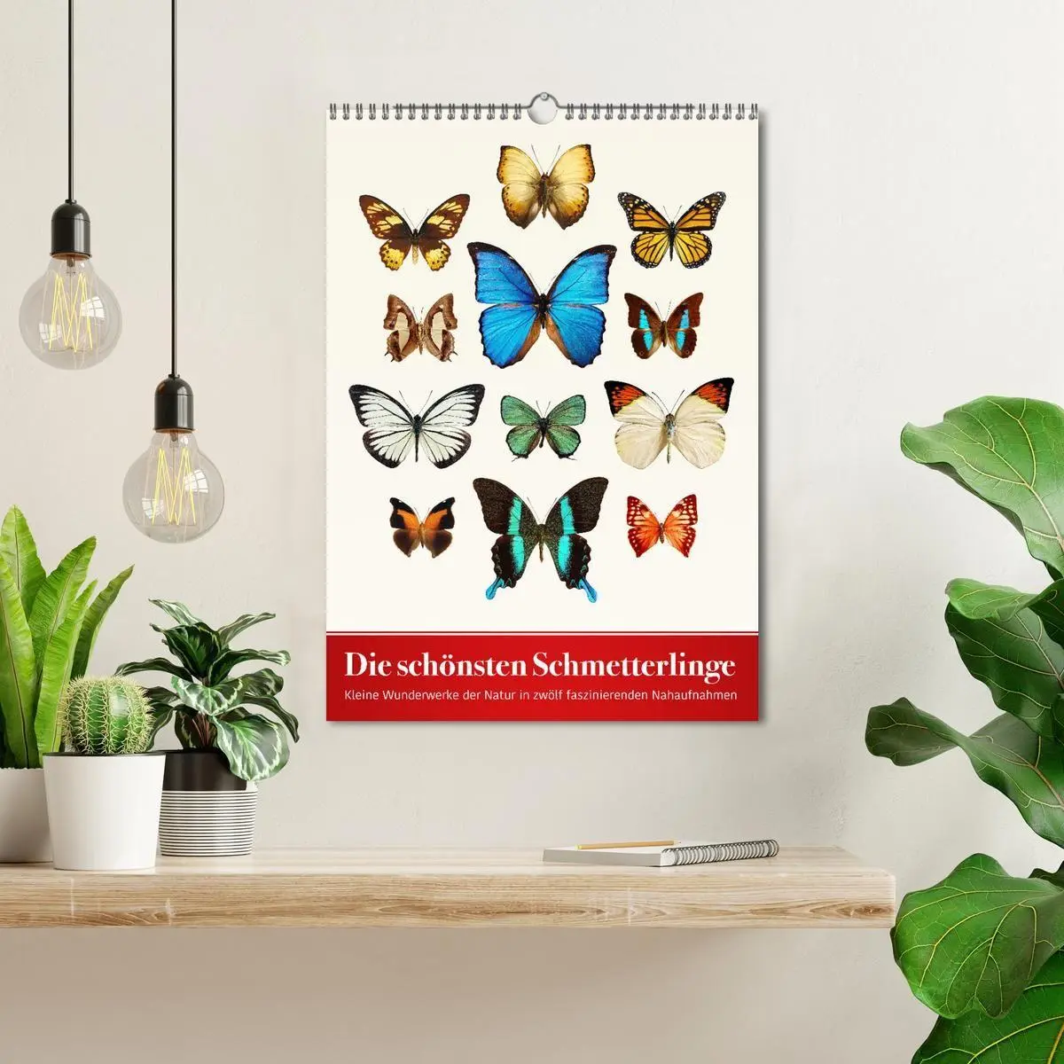 Bild: 9783569953079 | Die schönsten Schmetterlinge (Wandkalender 2027 DIN A3 hoch),...