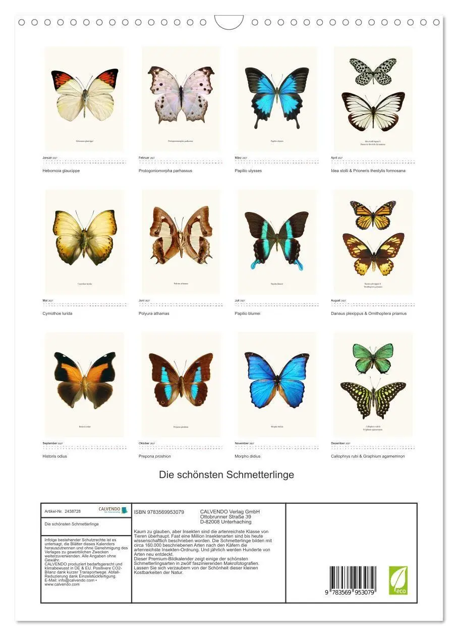 Bild: 9783569953079 | Die schönsten Schmetterlinge (Wandkalender 2027 DIN A3 hoch),...