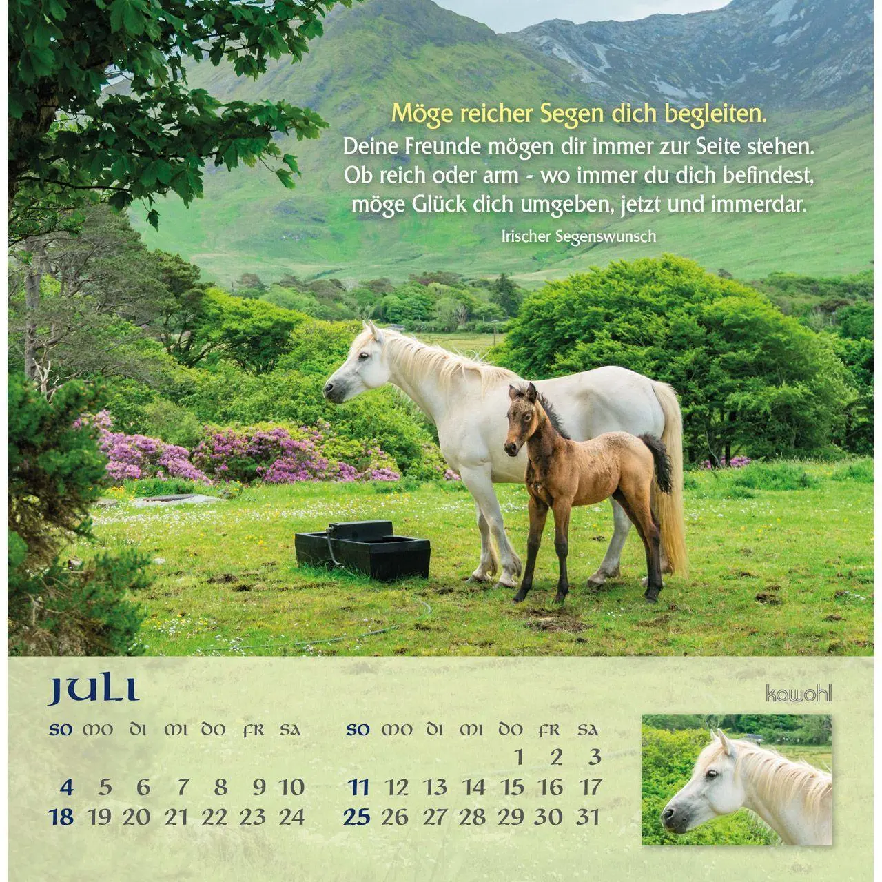 Bild: 9783754843079 | Möge Gott deinen Weg segnen 2027 | Irische Segenswünsche | Kalender
