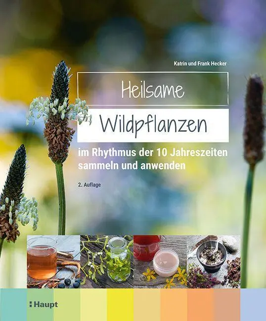 Cover: 9783258083179 | Heilsame Wildpflanzen | Frank Hecker (u. a.) | Buch | 344 S. | Deutsch