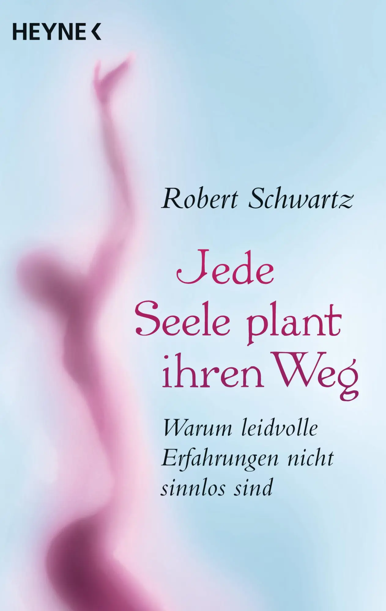 Cover: 9783453703179 | Jede Seele plant ihren Weg | Robert Schwartz | Taschenbuch | 352 S.