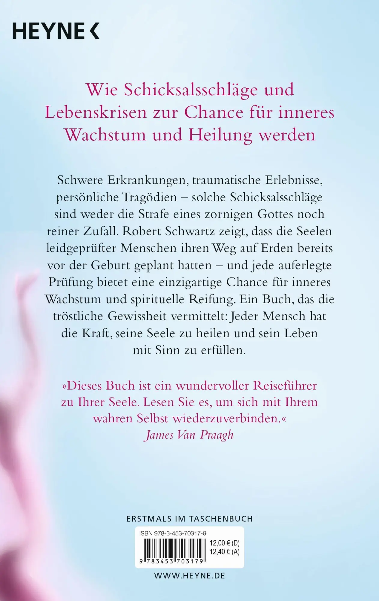 Bild: 9783453703179 | Jede Seele plant ihren Weg | Robert Schwartz | Taschenbuch | 352 S.