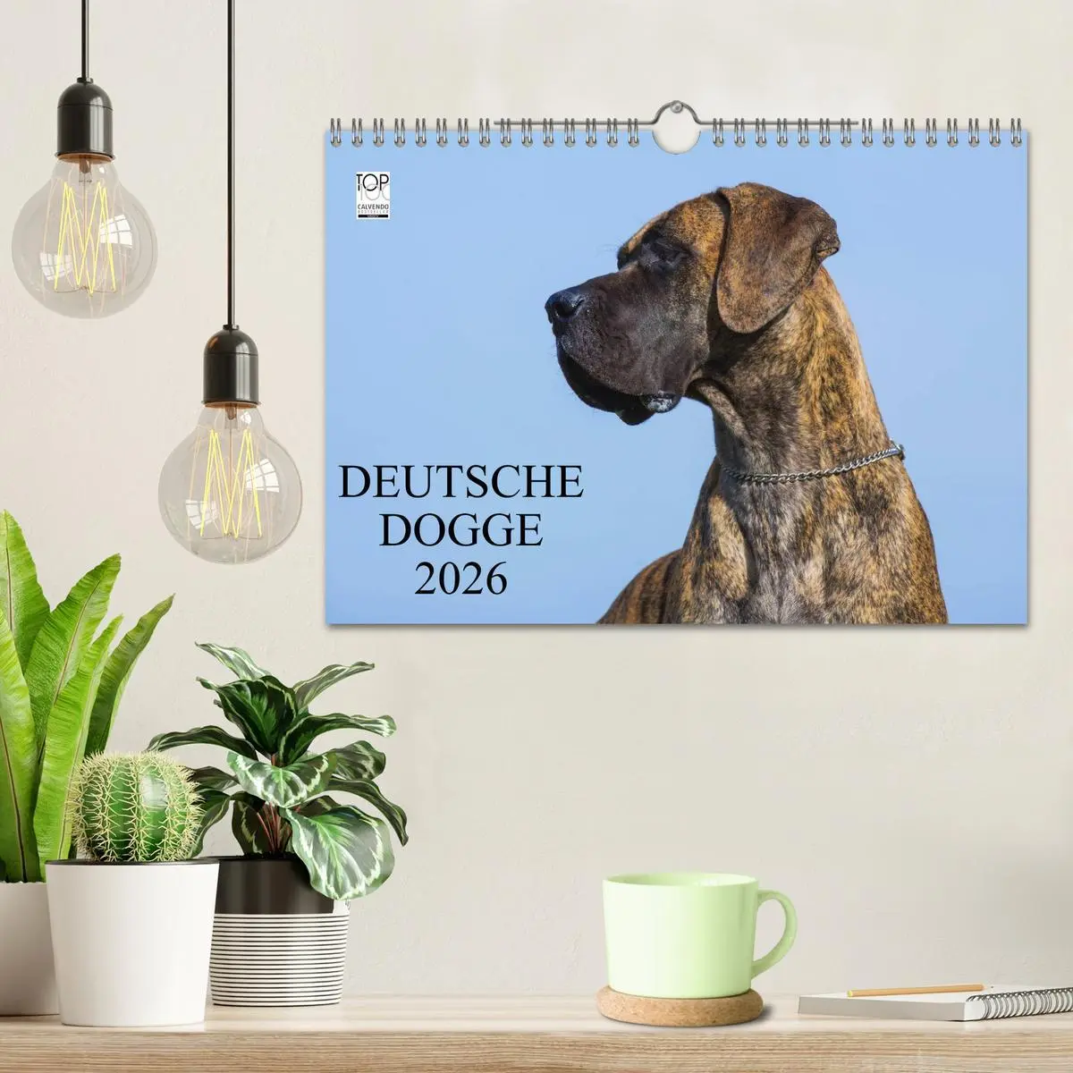 Bild: 9783516163179 | Deutsche Dogge 2026 (Wandkalender 2026 DIN A4 quer), CALVENDO...