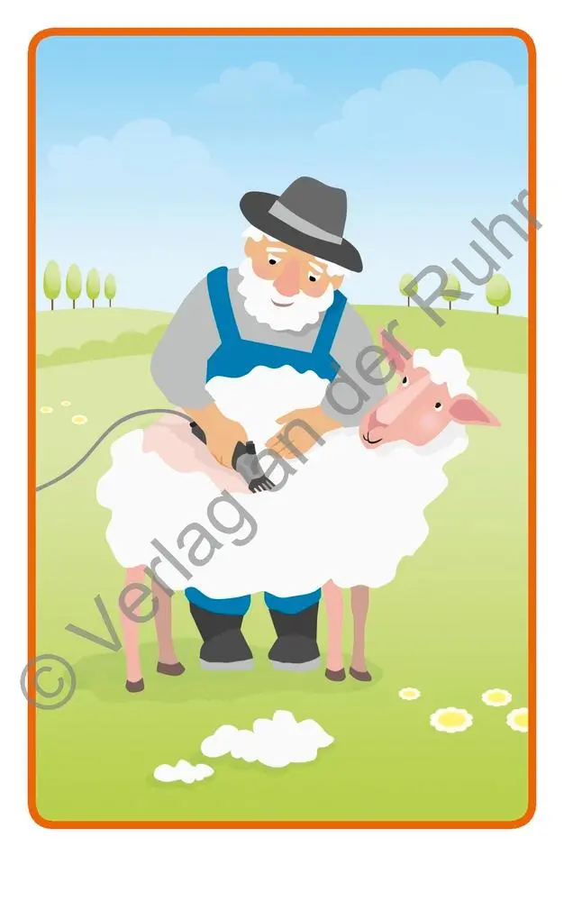 Bild: 9783834643179 | Bildergeschichten - Tiere | Für 3- bis 8-Jährige | Ruhr | Spiel | 2020