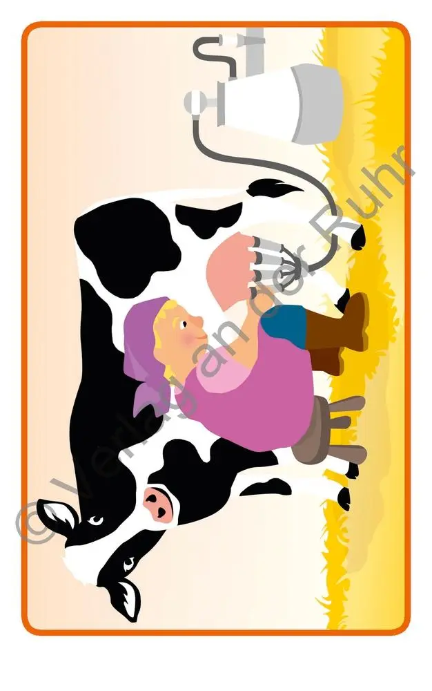 Bild: 9783834643179 | Bildergeschichten - Tiere | Für 3- bis 8-Jährige | Ruhr | Spiel | 2020