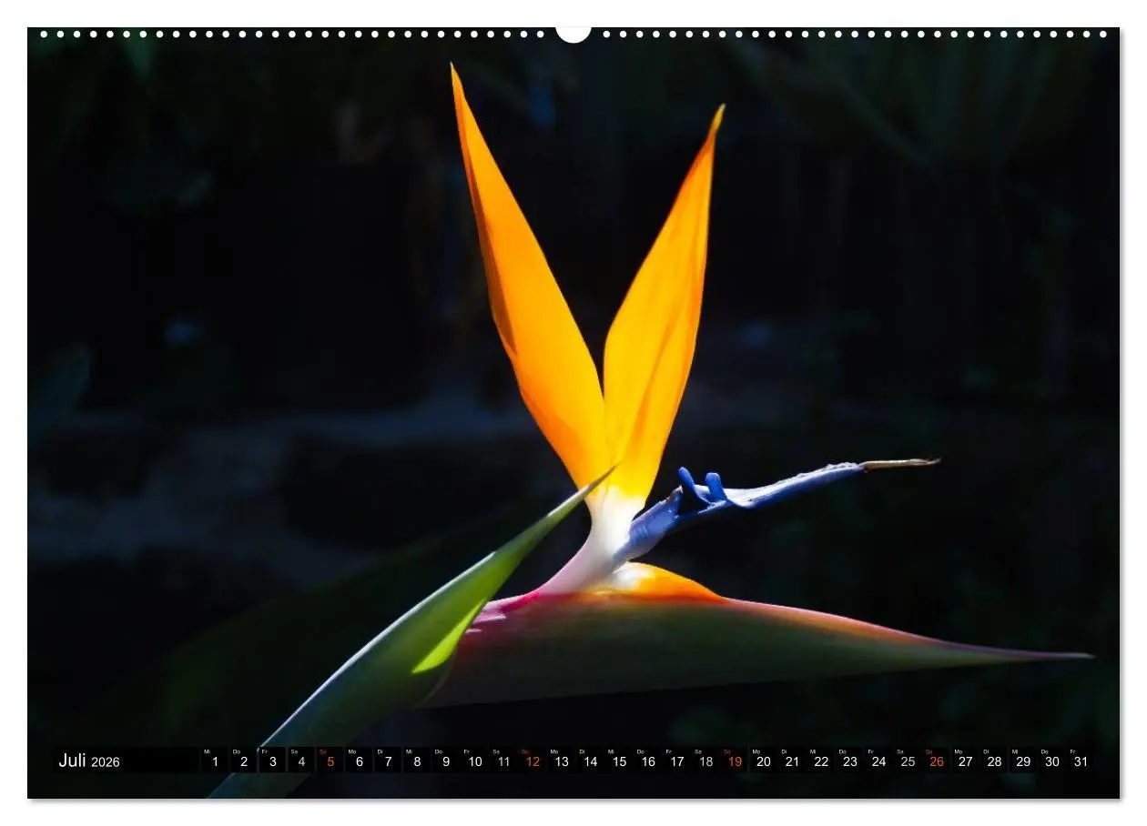 Bild: 9783516153279 | Hawai'i - Teil 2 (hochwertiger Premium Wandkalender 2026 DIN A2...