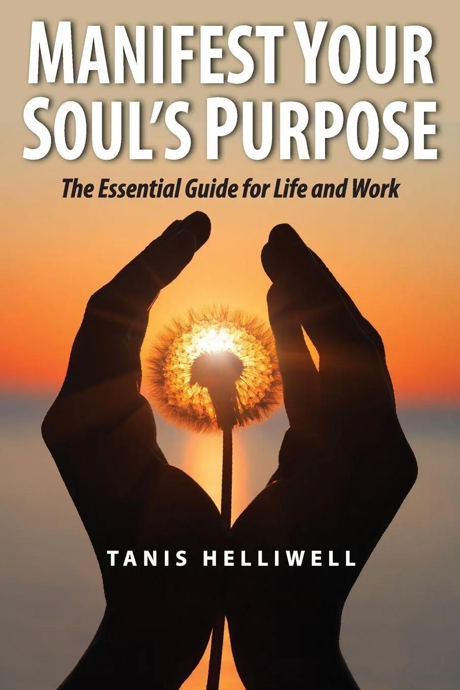 Cover: 9780980903379 | Manifest Your Soul's Purpose | The essential guide for life and work