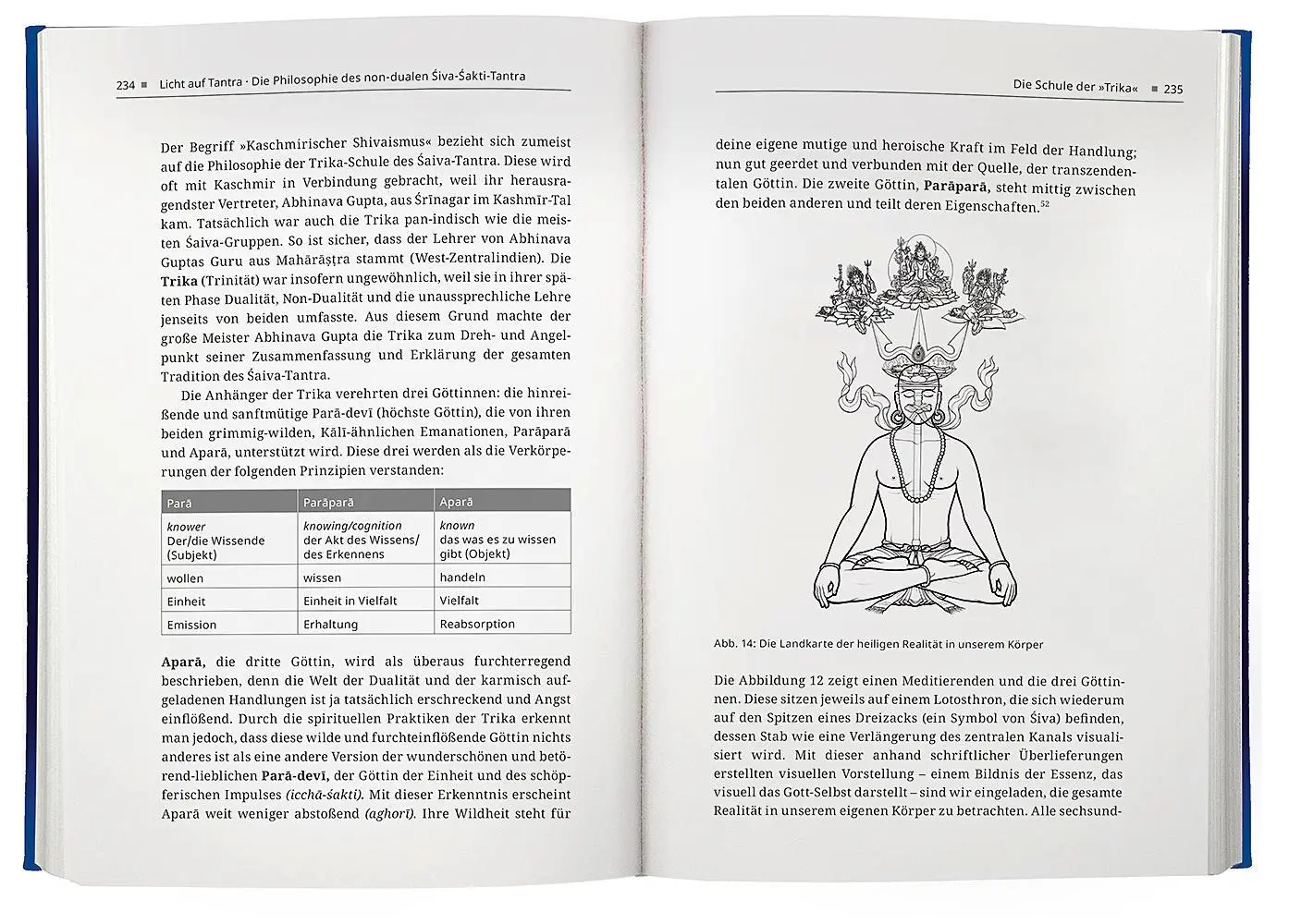 Bild: 9783426293379 | Licht auf Tantra | Christopher Wallis | Buch | 416 S. | Deutsch | 2023