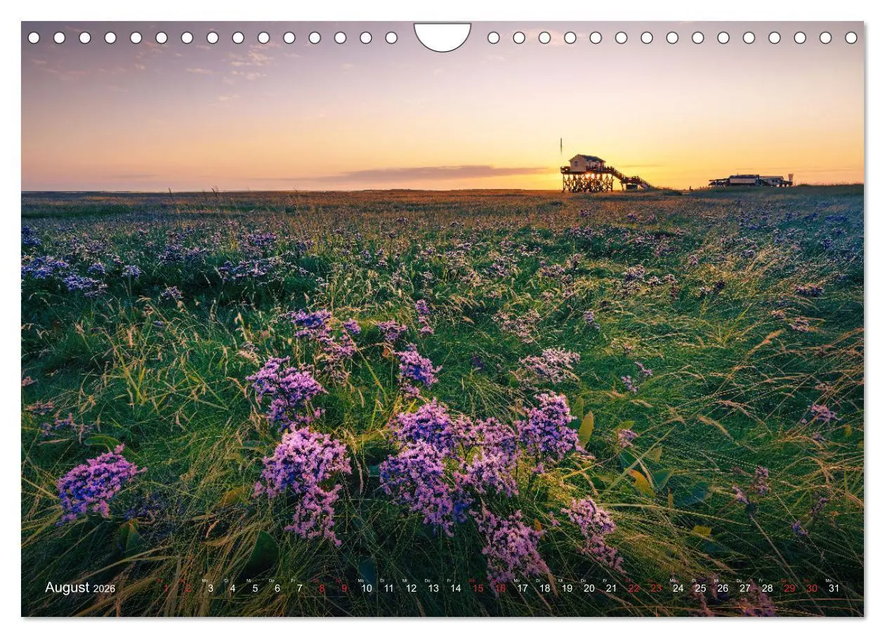 Bild: 9783457363379 | Nordseeurlaub in St. Peter-Ording (Wandkalender 2026 DIN A4 quer),...