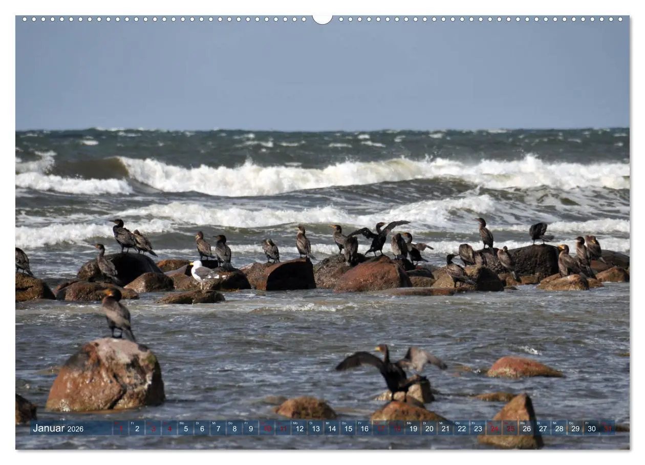 Bild: 9783457743379 | Bornholm - Sonneninsel der Ostsee (hochwertiger Premium...