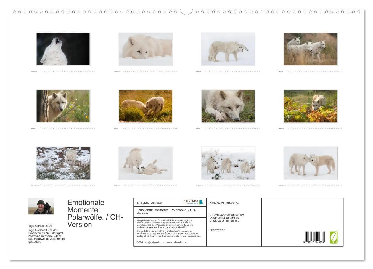 Bild: 9783516143379 | Emotionale Momente: Polarwölfe. / CH-Version (Wandkalender 2026 DIN...