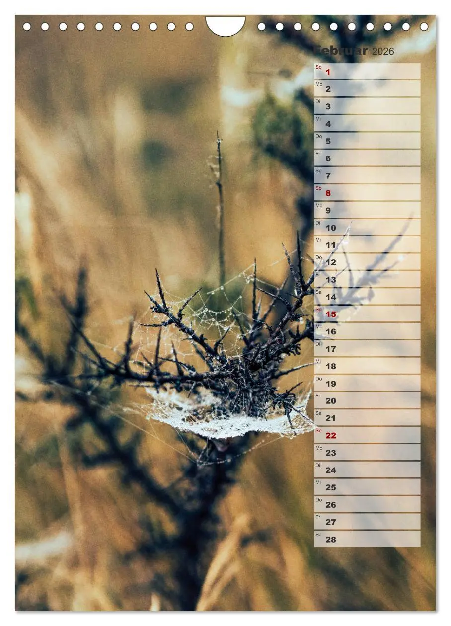 Bild: 9783516383379 | Kalender - Natur im Detail (Wandkalender 2026 DIN A4 hoch),...