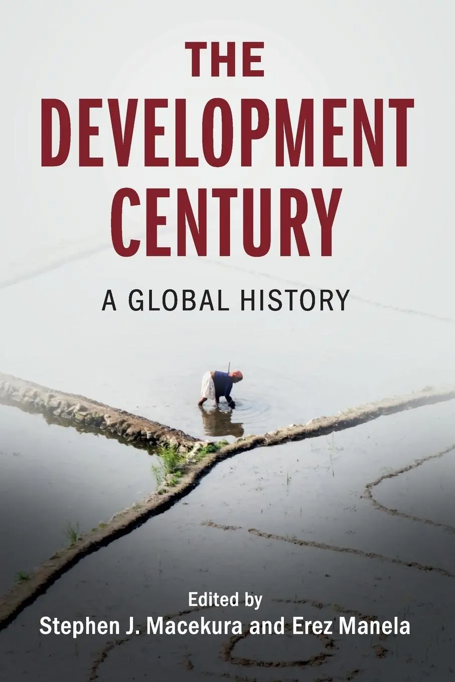 Cover: 9781108453479 | The Development Century | Stephen J. Macekura (u. a.) | Taschenbuch
