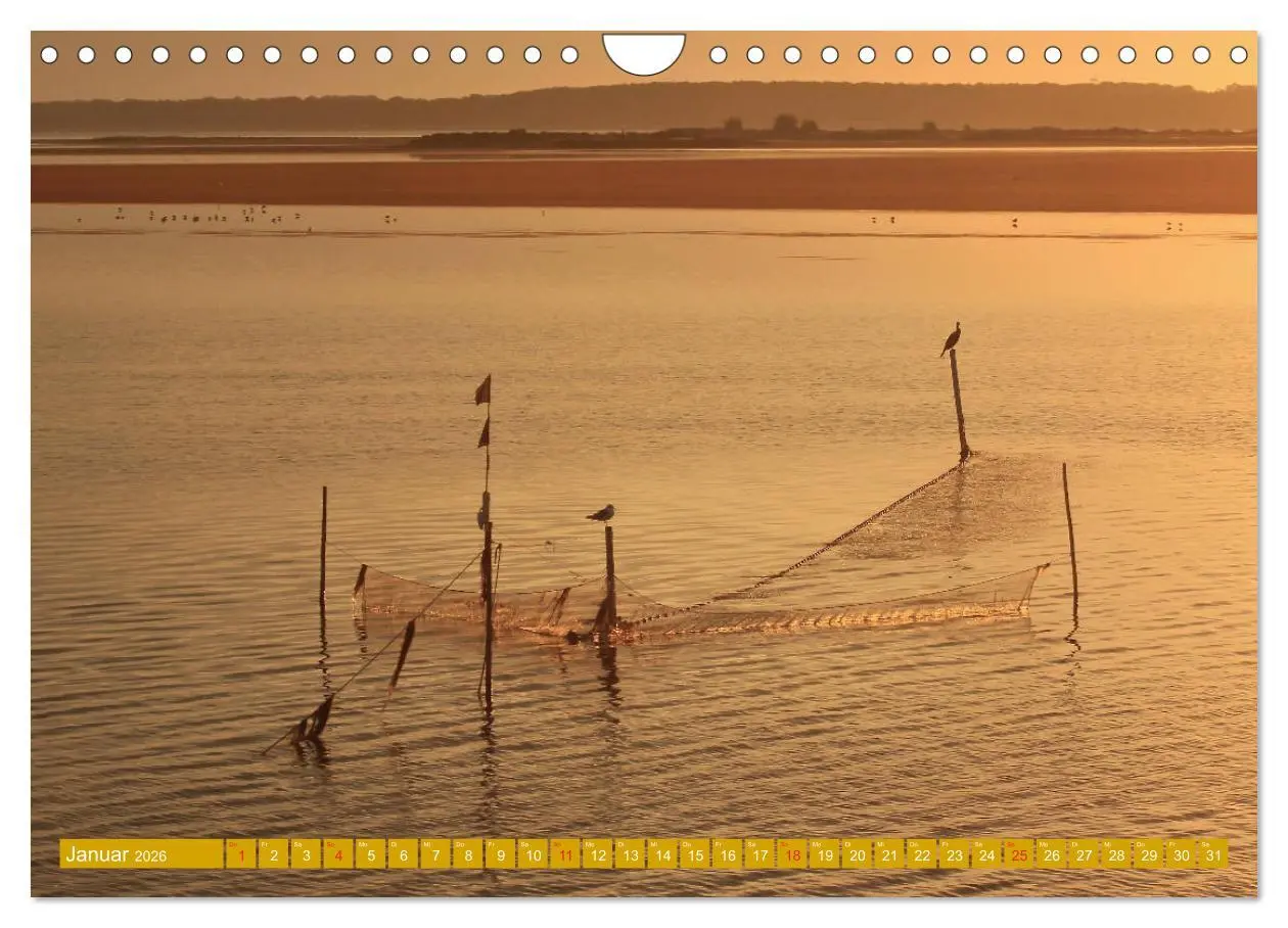 Bild: 9783457803479 | Insel Hiddensee - Stimmungen und Sehnsüchte (Wandkalender 2026 DIN...