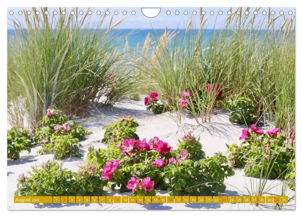Bild: 9783457803479 | Insel Hiddensee - Stimmungen und Sehnsüchte (Wandkalender 2026 DIN...