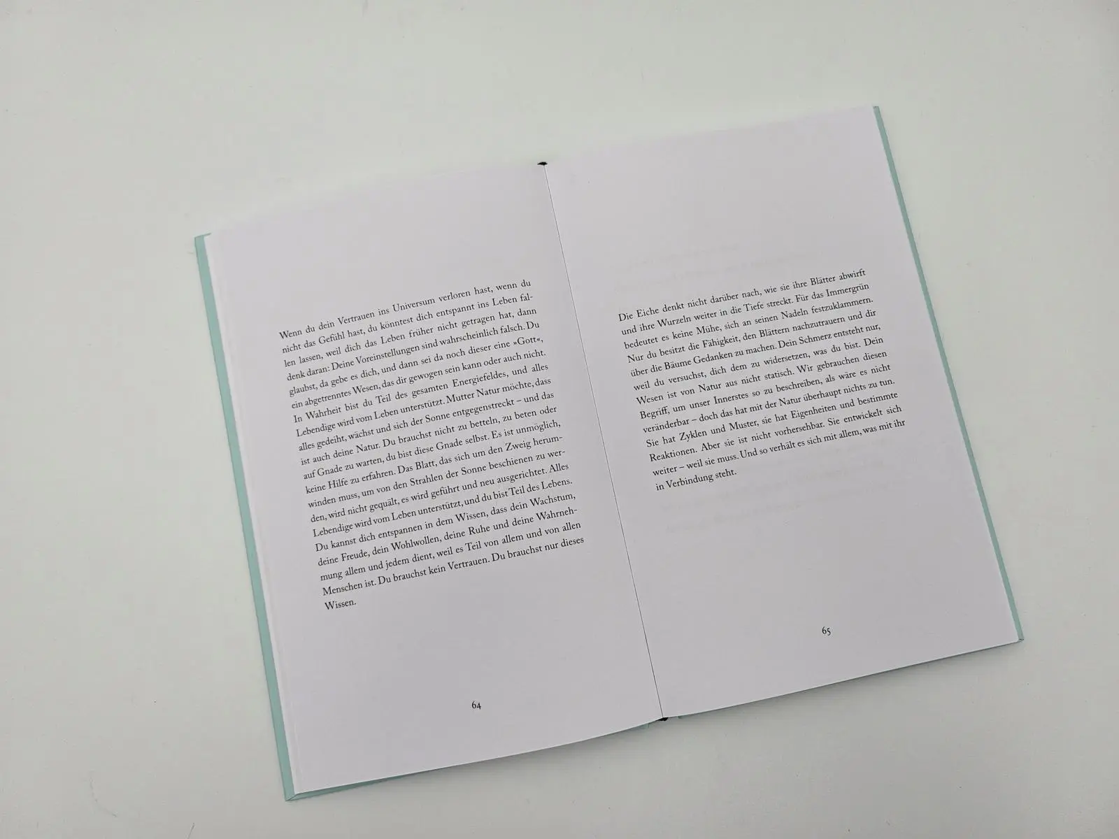 Bild: 9783492073479 | I Am The Hero Of My Own Life | Brianna Wiest | Buch | 176 S. | Deutsch