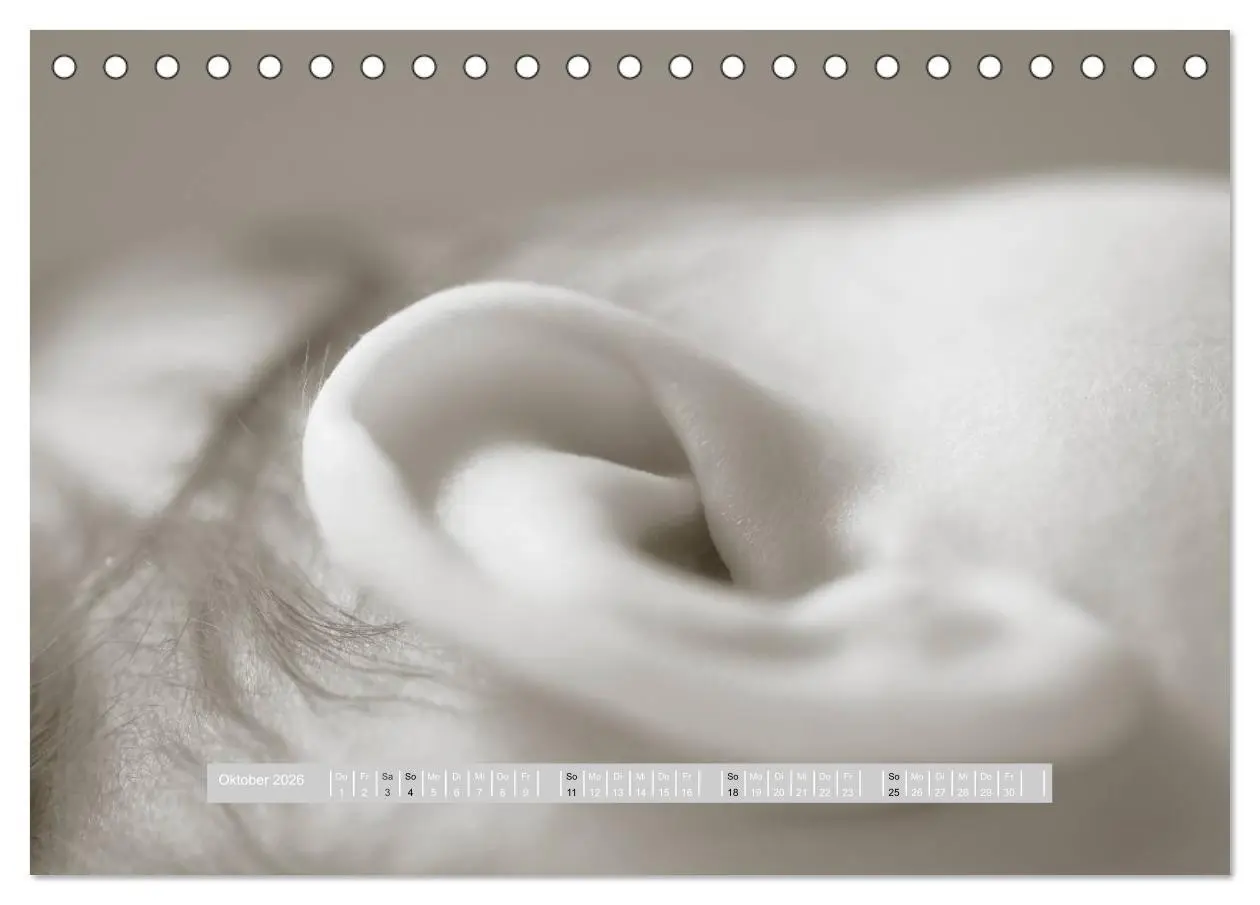 Bild: 9783516133479 | ...so winzig - Babykalender (Tischkalender 2026 DIN A5 quer),...