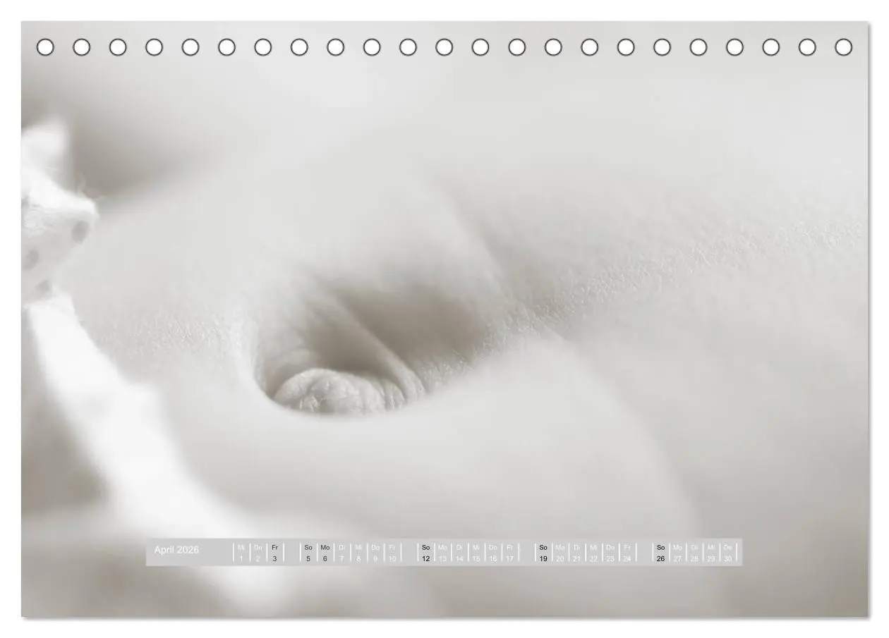 Bild: 9783516133479 | ...so winzig - Babykalender (Tischkalender 2026 DIN A5 quer),...