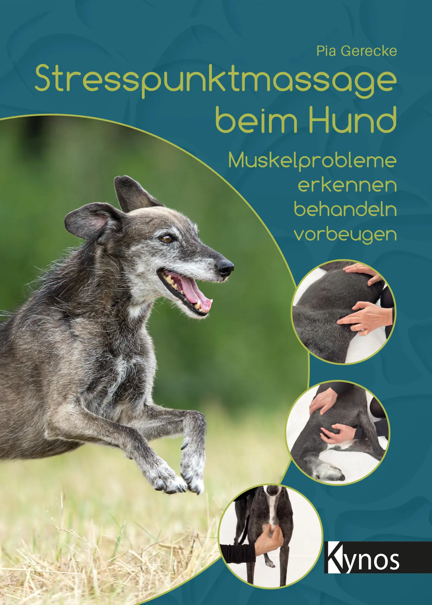 Cover: 9783954643479 | Stresspunktmassage beim Hund | Pia Gerecke | Taschenbuch | 160 S.