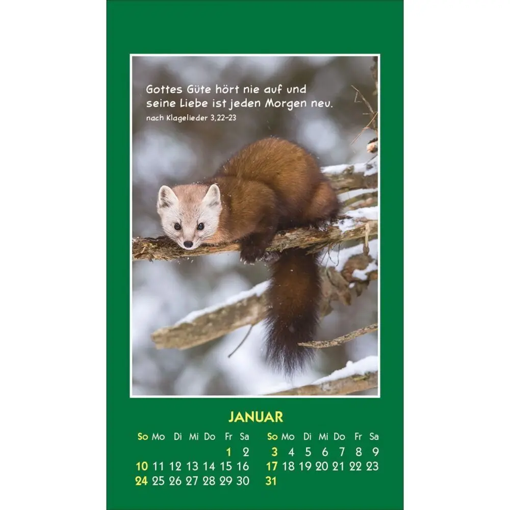 Bild: 9783754893579 | Hallo Du 2027 | Mini-Aufkleber-Kalender | Kalender | Spiralbindung