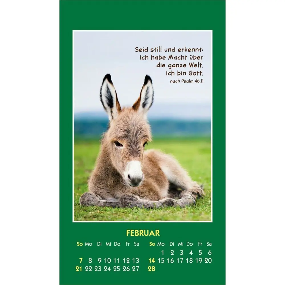 Bild: 9783754893579 | Hallo Du 2027 | Mini-Aufkleber-Kalender | Kalender | Spiralbindung