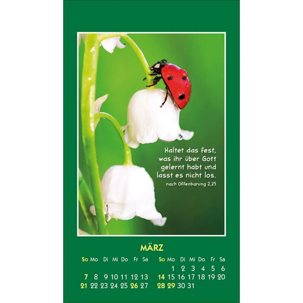 Bild: 9783754893579 | Hallo Du 2027 | Mini-Aufkleber-Kalender | Kalender | Spiralbindung