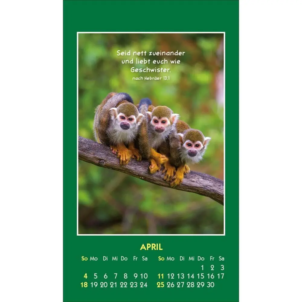 Bild: 9783754893579 | Hallo Du 2027 | Mini-Aufkleber-Kalender | Kalender | Spiralbindung