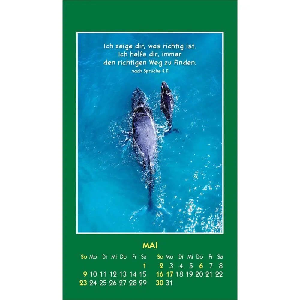 Bild: 9783754893579 | Hallo Du 2027 | Mini-Aufkleber-Kalender | Kalender | Spiralbindung