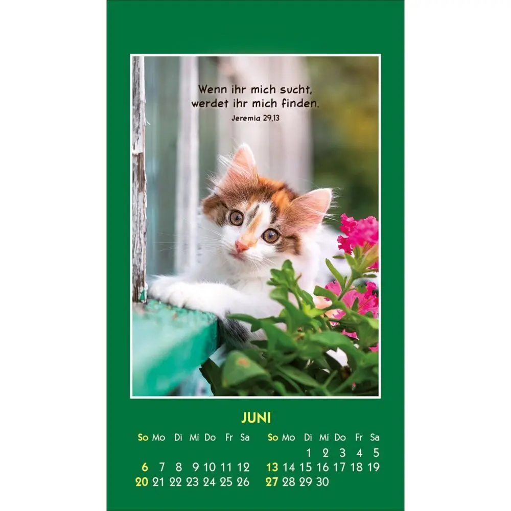 Bild: 9783754893579 | Hallo Du 2027 | Mini-Aufkleber-Kalender | Kalender | Spiralbindung