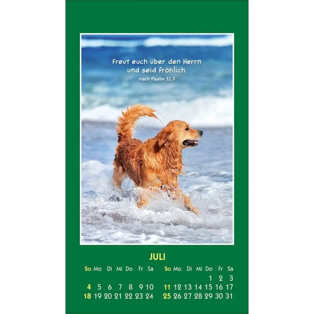 Bild: 9783754893579 | Hallo Du 2027 | Mini-Aufkleber-Kalender | Kalender | Spiralbindung