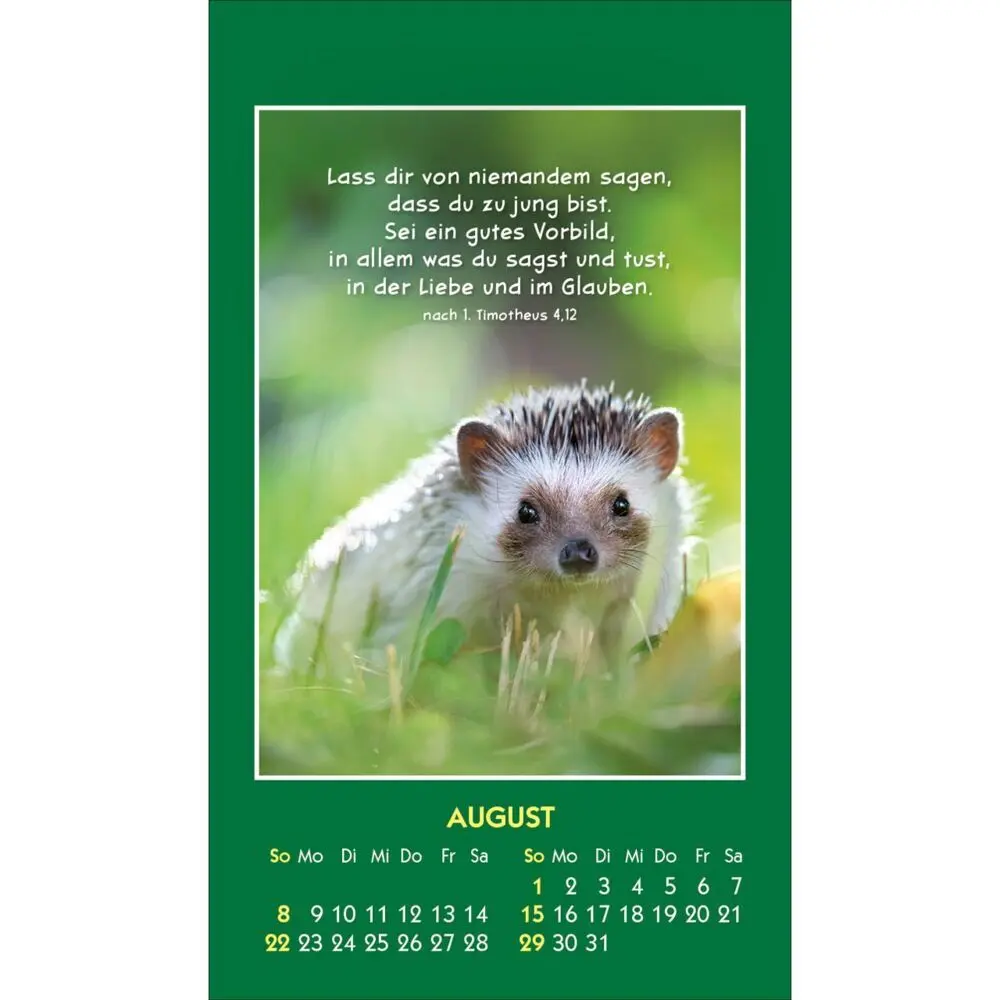Bild: 9783754893579 | Hallo Du 2027 | Mini-Aufkleber-Kalender | Kalender | Spiralbindung